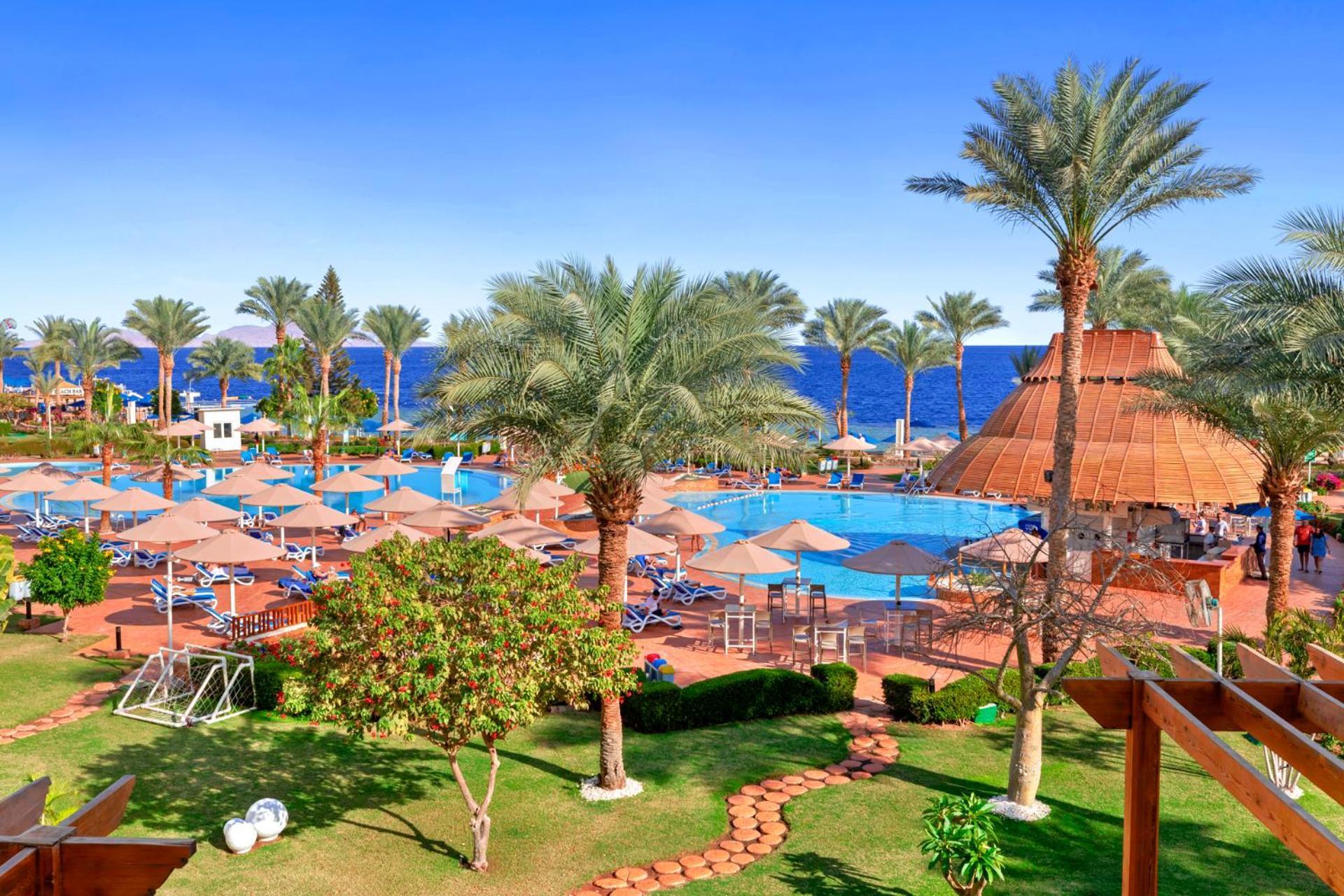 Pickalbatros Royal Grand Sharm - Adults Friendly 16 Years Plus Luaran gambar The image shows a vibrant tropical resort scene. In the foreground, there are lush green palm trees and neatly organized grassy areas. A winding pathway made of bricks leads through the gardens. 

In the background, a large swimming pool is visible, 